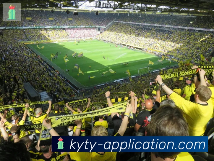 开云平台生态图